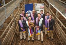 Plenty to shout about