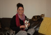 Cat rescue faces closure