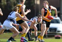 Solid win for Stingrays