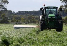 Top tips for best milk fodder