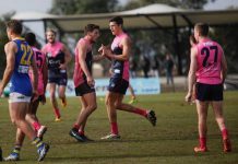 Casey topple ladder leaders