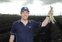 Asparagus is cream of the crops