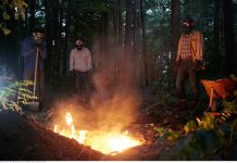 Here comes the night