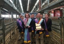 Auctioneers are coming and going