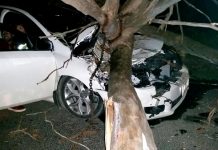 Danger branch ‘should have been spotted’