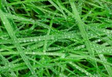 Managing the season ahead