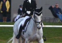 Sophie’s high in the saddle