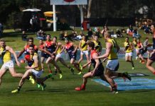 Demons bundled out of premiership race