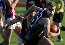 Cobras stamp their authority