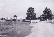 ‘Disgusting and beastly state’