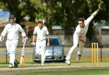 Watson stars as Bears fold