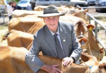 Host roped into the show