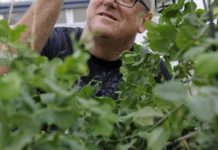 More than just growing food