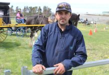 Farrier’s got new career nailed