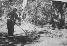 Friends hope $6 million murder reward will bring closure