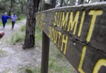 Three… of the best paths in Cardinia