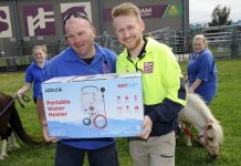 Tie-up to rescue ponies