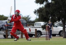 Sperling backs his Swans