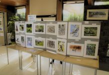 Photos and feathers flock together