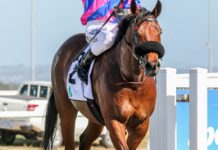 Countdown to the Cup