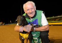 Eddie’s eye on Melbourne Cup