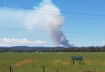 Scrub fire in Bunyip State Park