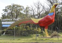 Man injured in Gumbuya gas explosion