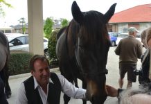 Eyes light up, but the neighs have it