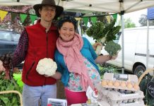 In balance with nature