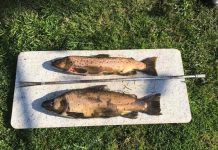 Off-season fishers get court