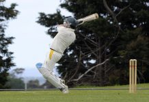 This one takes the cake