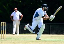 Marygoons pounce on Cougars