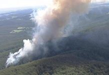 Overnight battle contains state park fire