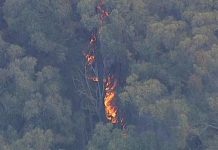 State park fire still burning