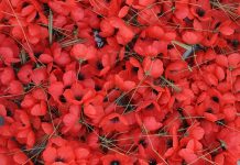 Love and remembrance