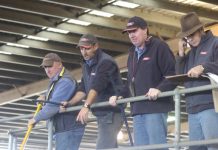 Good quality but limited supply