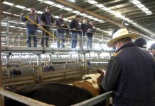 Full field of selective buyers