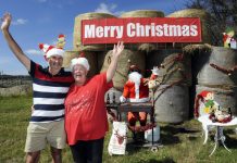 Field of Santa dreams