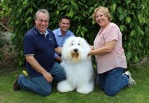 Breeders slam anti-puppy farm laws