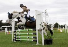 New club’s jumping for joy