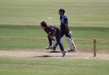 Lions knocked out in semi-final