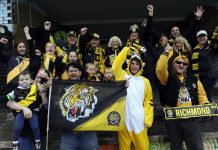 Tigers coming to town