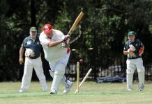 One-run victory to Cobras