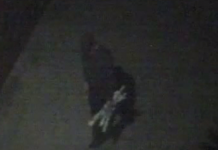 Police call to identify man after fire