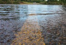 Spared from storm-ageddon