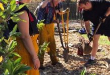 All in a day’s work