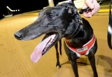 Miley the sentimental favourite