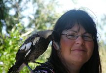 Help needed to save the animals