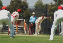 Swans taught harsh lesson