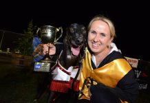 Dee Bee show rolls on